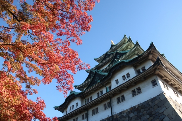 名古屋城の紅葉